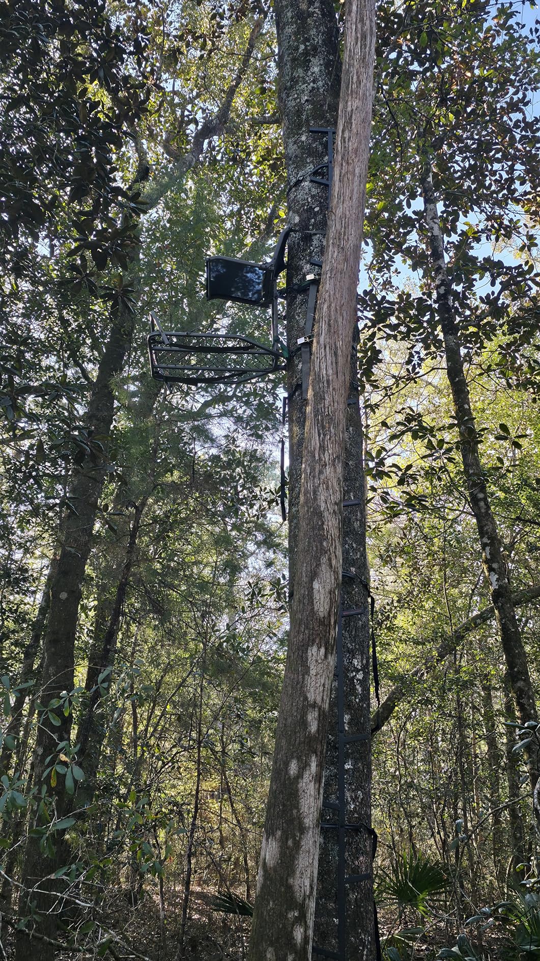 Summit Treestands Ledge XT Hang-on Tree Stand with Folding Comfort-Mesh Seat (SU82117), Black customer photo 1