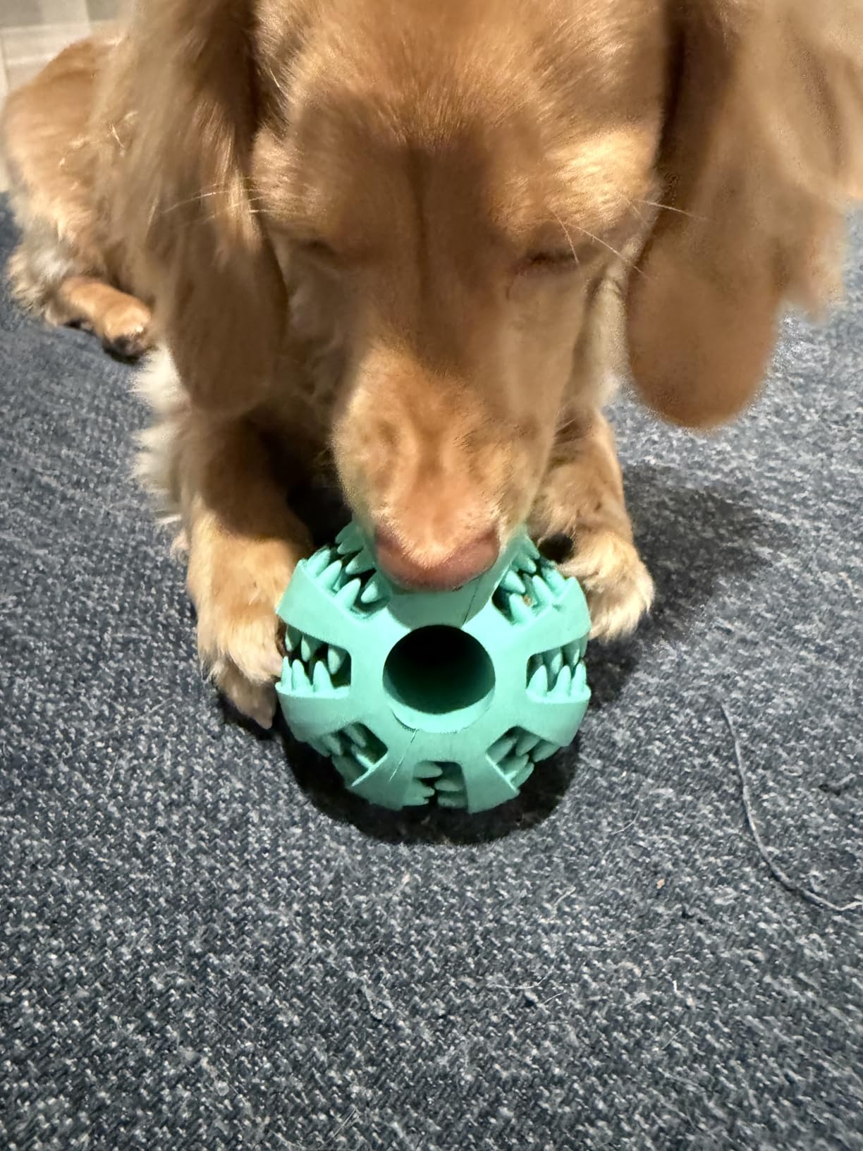 HIPPIH Dog Puzzle Toy 2 Pack, Interactive Dog Toys for Treat Dispensing, Durable Puppy Toys for Teething, Dog Treat Ball for Teeth/Slow Feeder/IQ Training/Playing, Blue-2.75'', Green-3.14'' customer photo 2