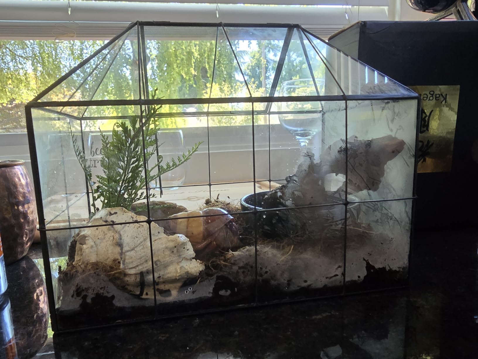 Large Glass Terrarium House Planter - Succulent Plant Glass Greenhouse with lid 9.8