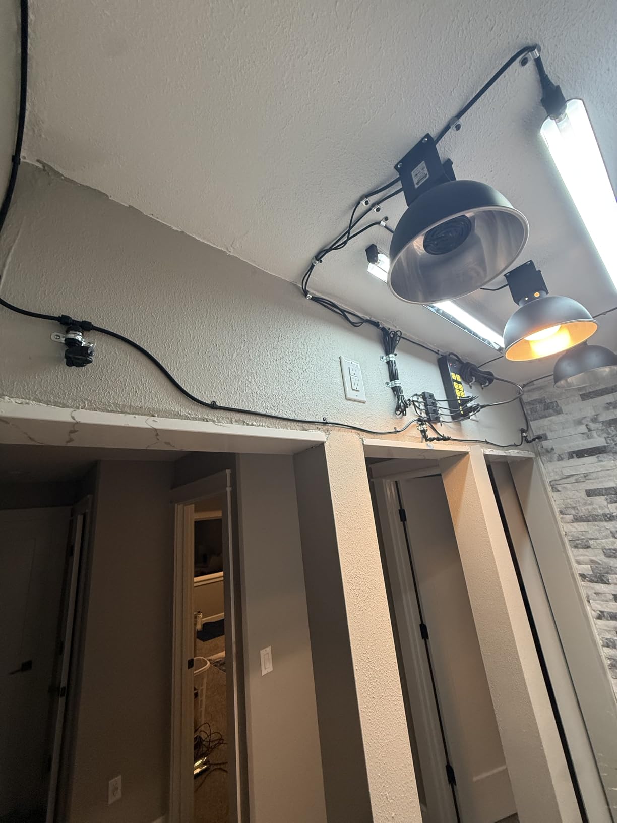 MistKing - Ultimate Misting System, 5th Gen | Used by Zoos, Institutions & Hobbyists | Expandable to 20 Nozzles | Extremely Fine Mist | 50 Micron Droplets | Upgraded Timer & Components customer photo 1