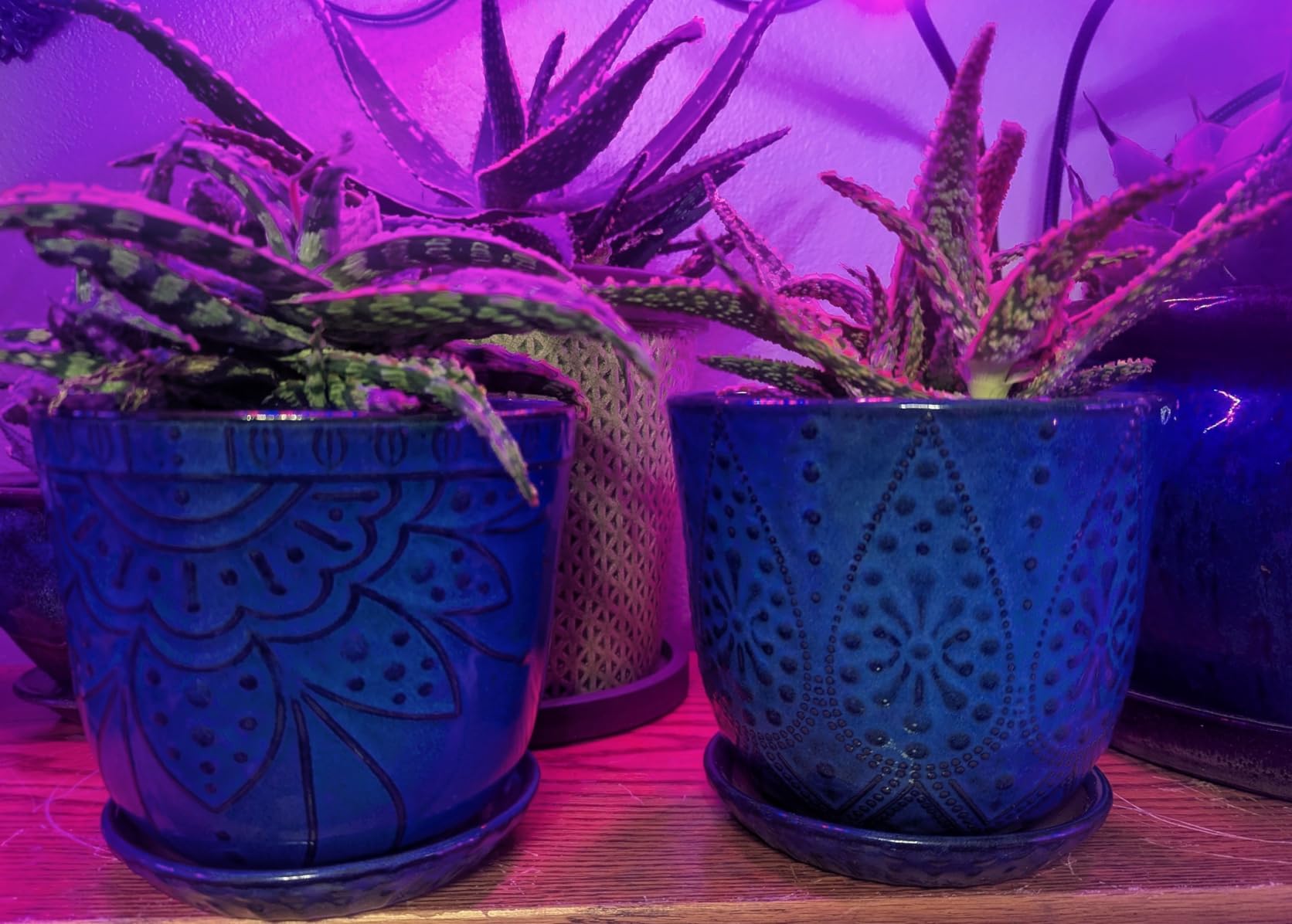 Gepege 6 Inch Beaded Ceramic Planter Set of 2 with Drainage Hole and Saucer for Plants, Indoor-Outdoor Large Round Succulent Orchid Flower Pot (Smoked Gray, Inner-pots not Larger Than 5 Inch) customer photo 1