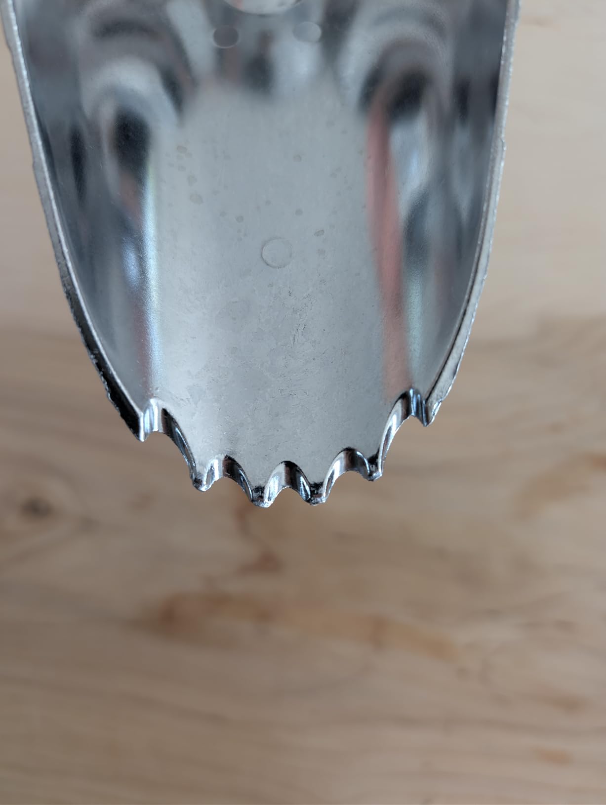 Garden Weasel Potting Scoop - Oversized | Dig and Transport | Planting and Gardening Hand Digging Tools, Heavy Duty Soil Scoop customer photo 2