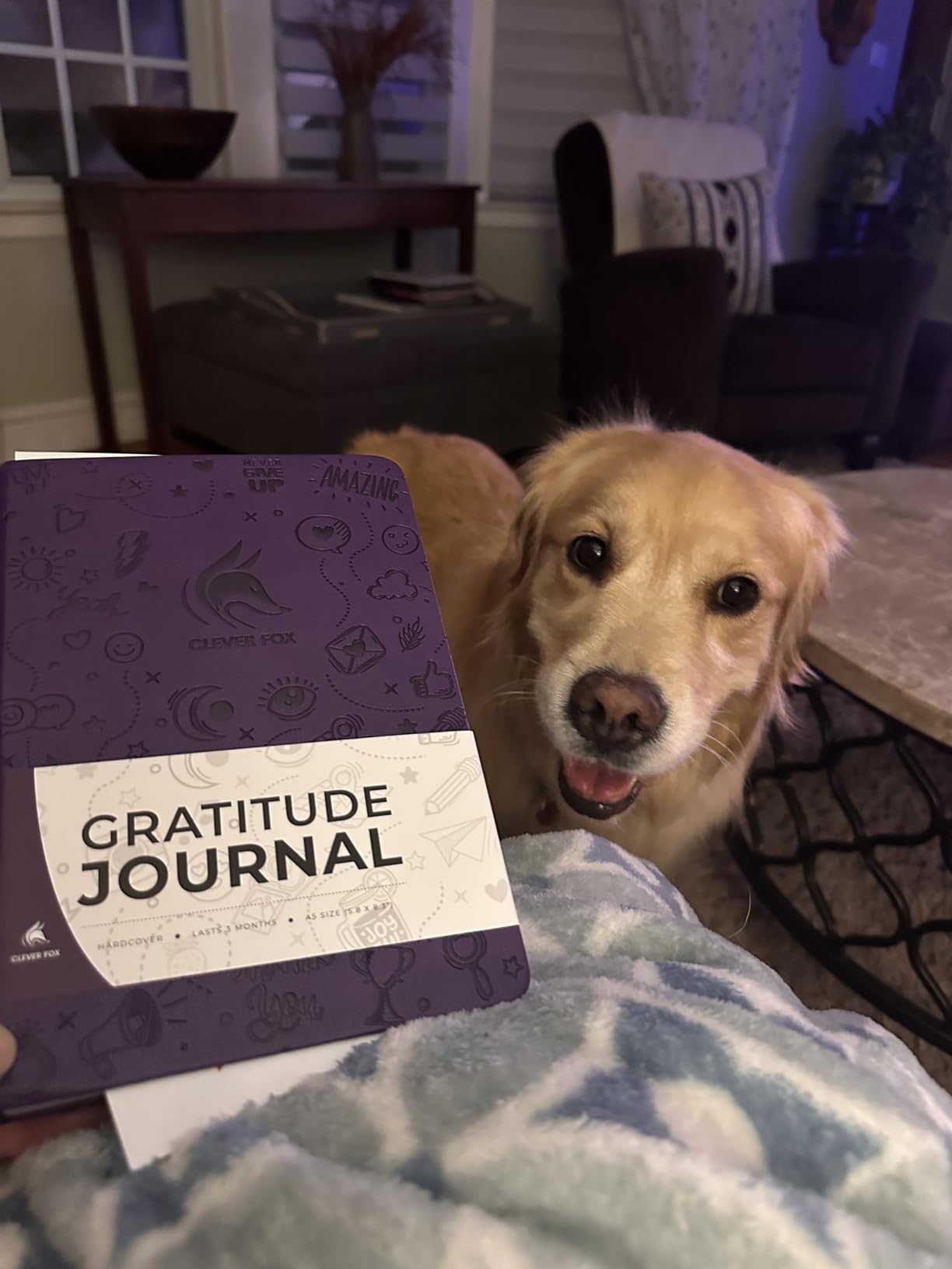 Clever Fox Gratitude Journal - Happiness, Positivity & Affirmation Daily Journal - Inspirational Daily Notebook - 3 Months, A5 customer photo 1