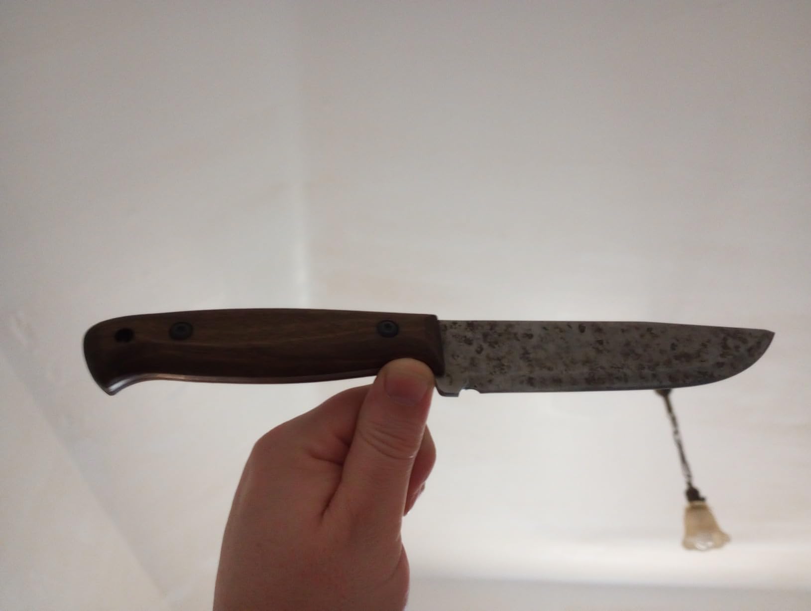 BPSKNIVES Adventurer - Bushcraft Knife - Fixed-Blade Carbon Steel Knife with Leather Sheath and Firestarter - Outdoor Full Tang Knives customer photo 2