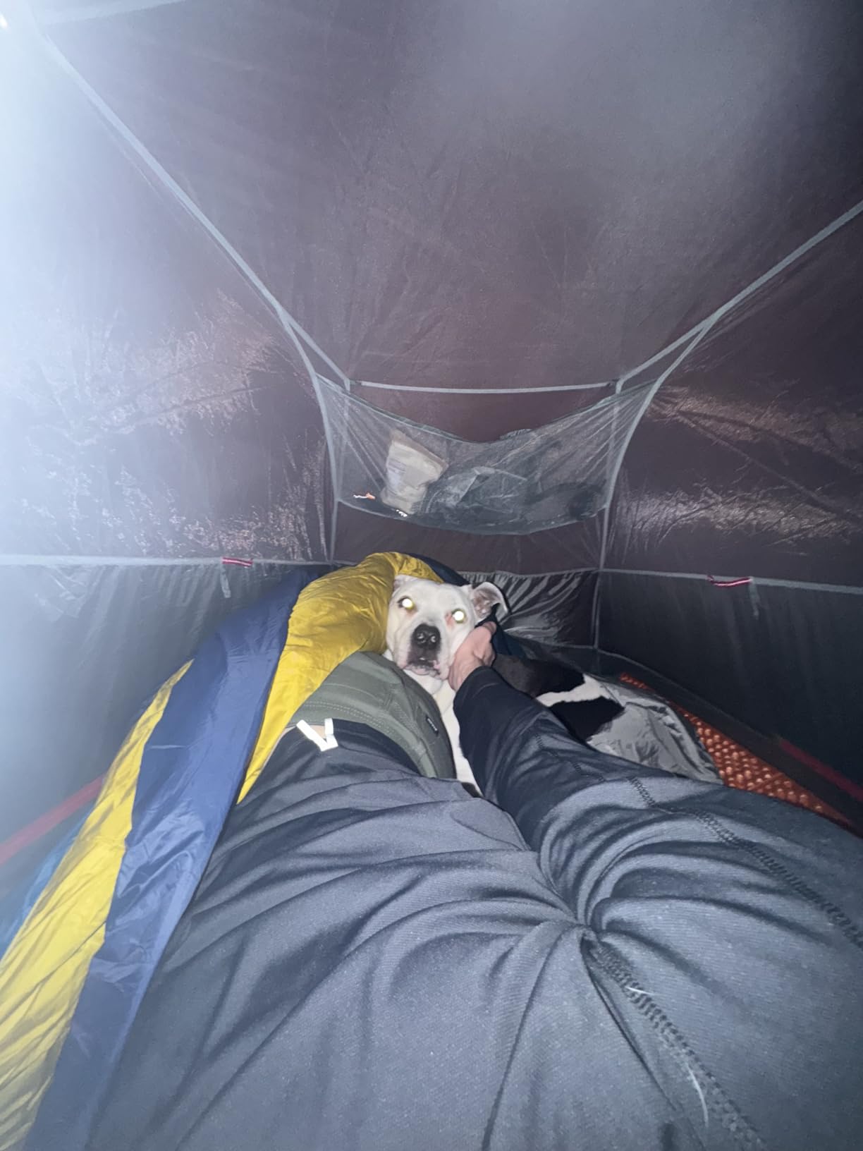 Kelty Cosmic 20 Down Mummy Sleeping Bag for Backpacking - 550 Fill Power, Recycled Fabrics with PFAS-Free DWR customer photo 2