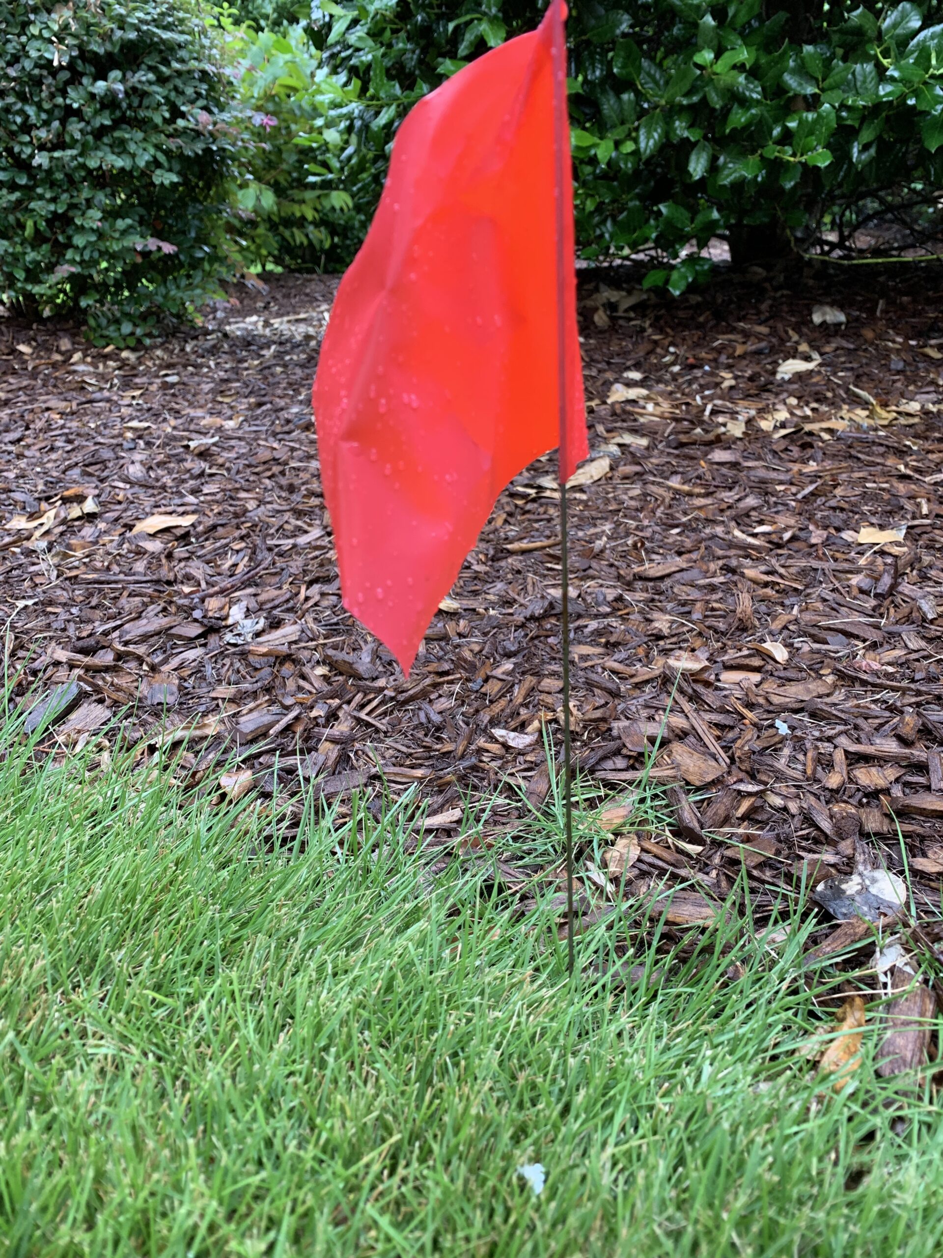 Blue Marking Flags 100 Pack - 4x5x15 Inch Blue Yard Flags - Markers For Lawn, Irrigation, Landscaping, Survey & Sprinkler Head Marking customer photo 2