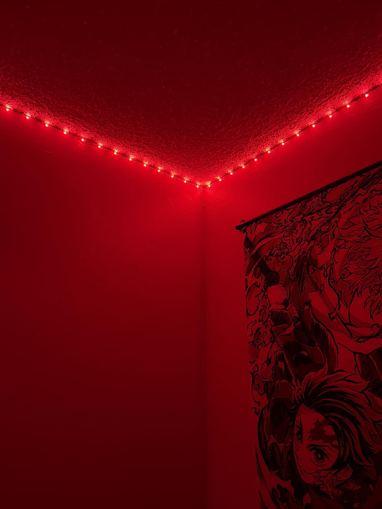 DAYBETTER Smart WiFi Led Lights 100ft, Tuya App Controlled Led Strip Lights, Work with Alexa and Google Assistant, Timer Schedule, Color Changing Led Lights for Bedroom Party Kitchen customer photo 2