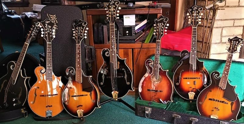 Ortega Guitars Premium F-Style Mandolin Tuning Machines 4L x 4R Gold w/Perloid Buttons (OTMMAPREM-GO) customer photo 1