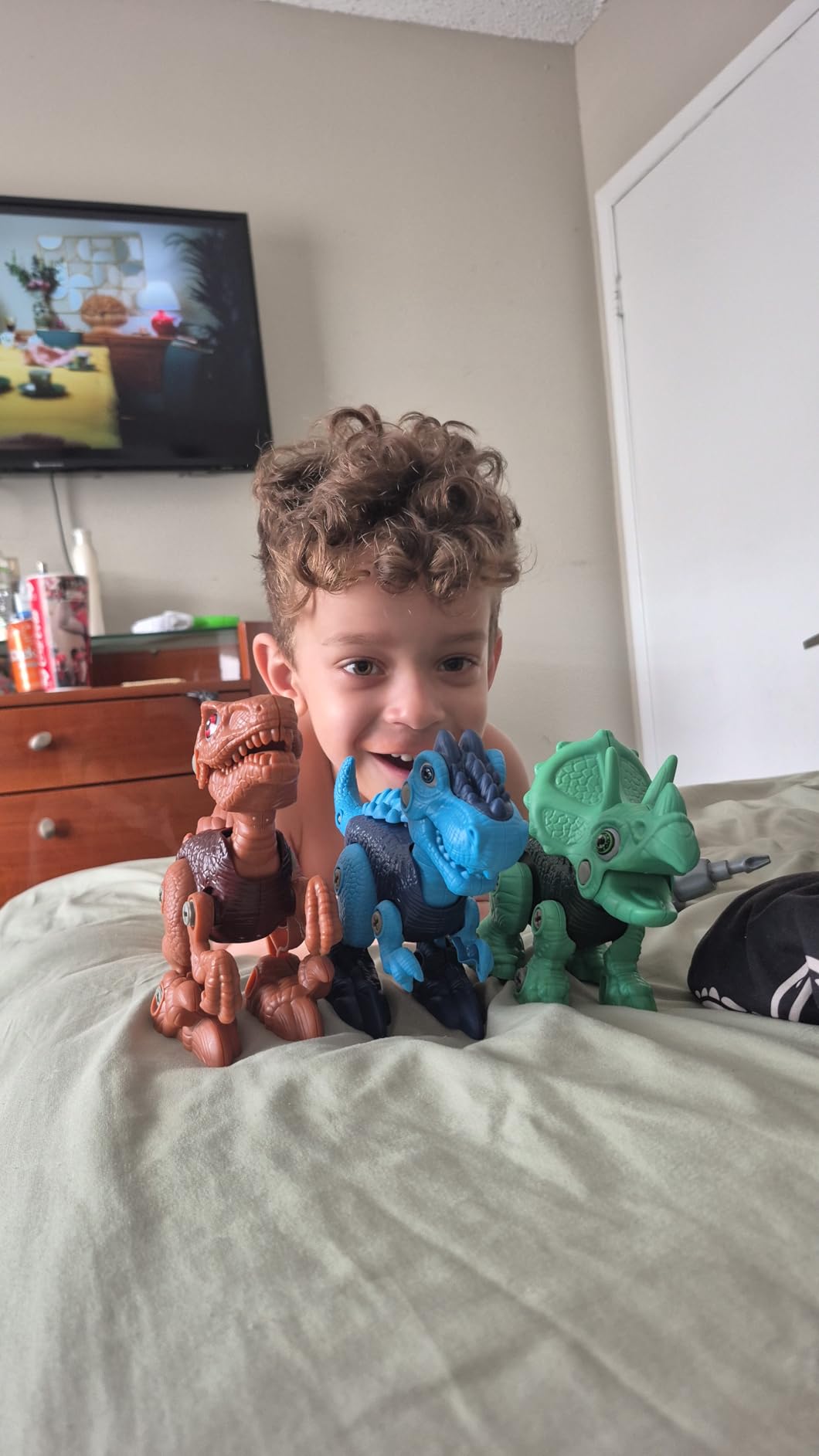 Laradola Dinosaur Toys for 3 4 5 6 7 8 Year Old Boys, Take Apart Dinosaur Toys for Kids 3-5 5-7 STEM Construction Building Kids Toy with Electric Drill, Party Christmas Birthday Gifts Boys Girls customer photo 1