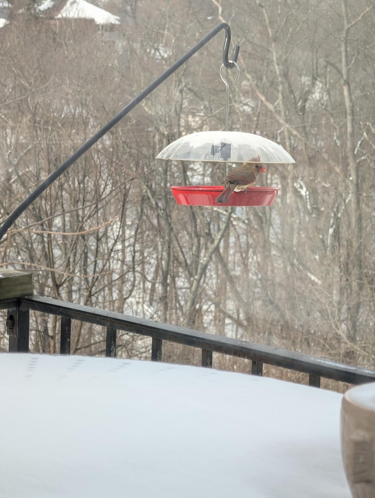 Kingsyard Adjustable Platform Bird Feeder for Outdoors, Hanging Metal Seed Tray with Clear Rain Proof Dome, Large Capacity for Wild Bluebird Cardinal Dove Mealworm, Black customer photo 1