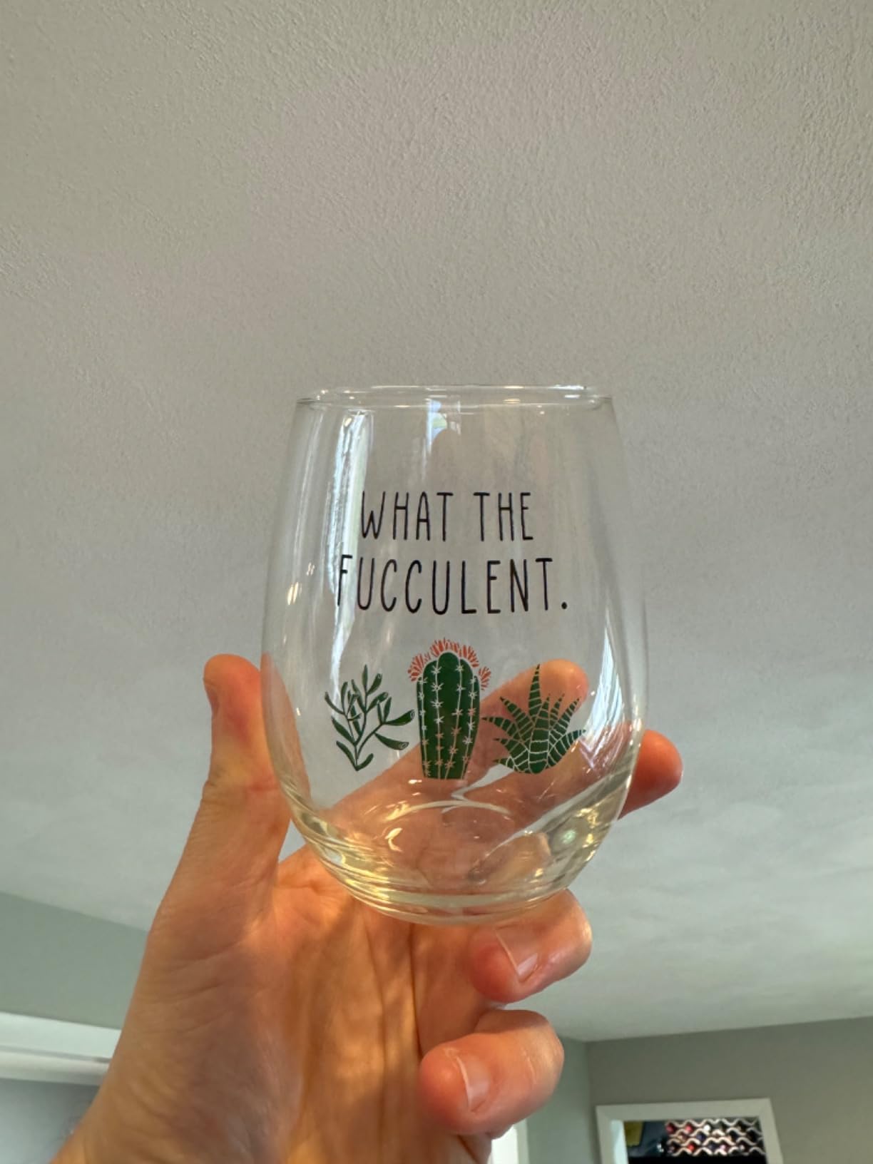 Succulent Cactus Gifts for Women - Set of 2 Funny Wine Glasses 15oz - Plant Lover Gift Mug - What the Fucculent - Pot Head Crazy - Plant Lady Wine Glass Tumbler - Custom Stemless Wine Glasses customer photo 2