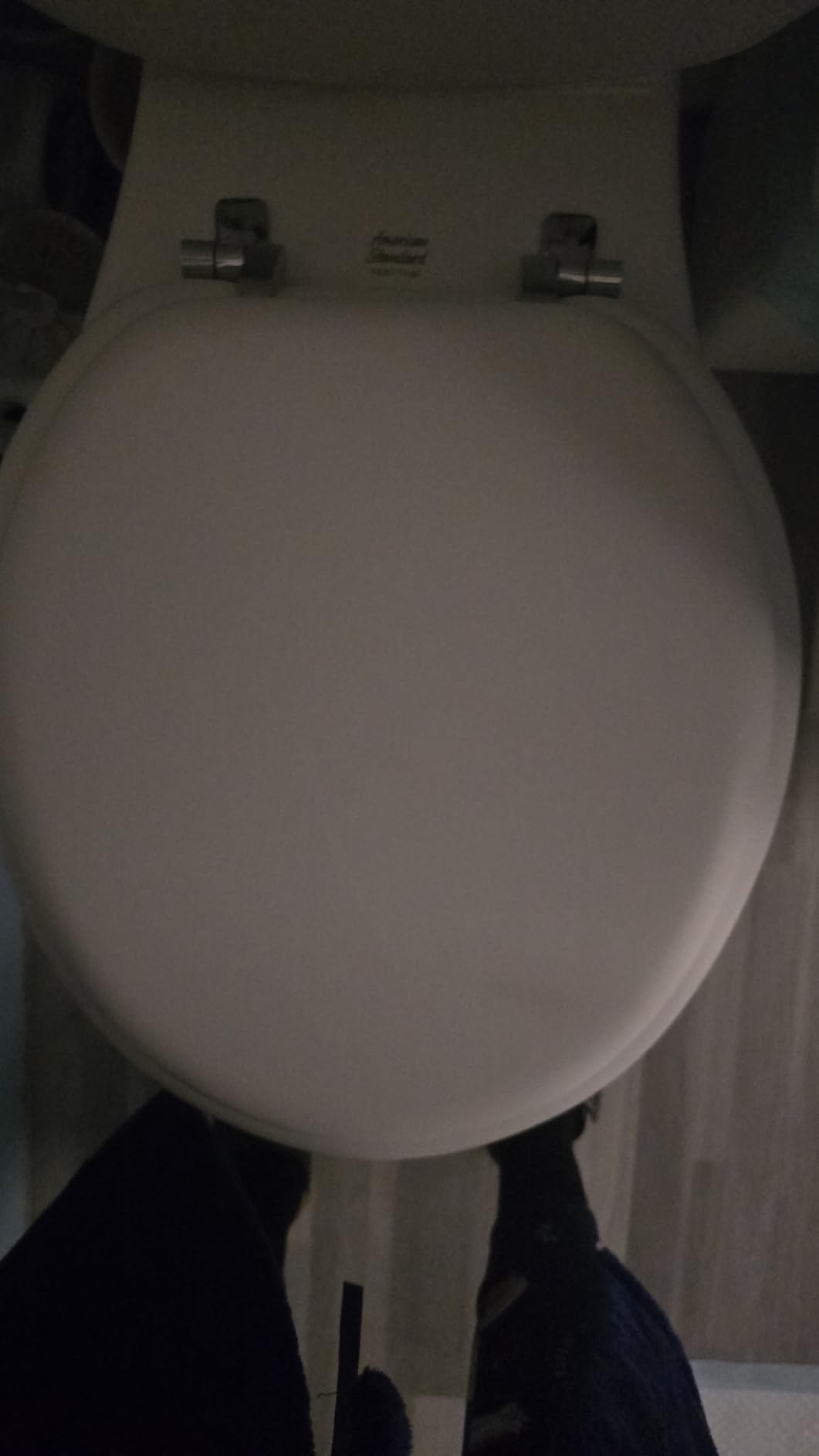 Mayfair Padded Toilet Seat with Chrome Hinges, Soft Vinyl over Wood Core Seat, Made in USA, Elongated, White customer photo 1