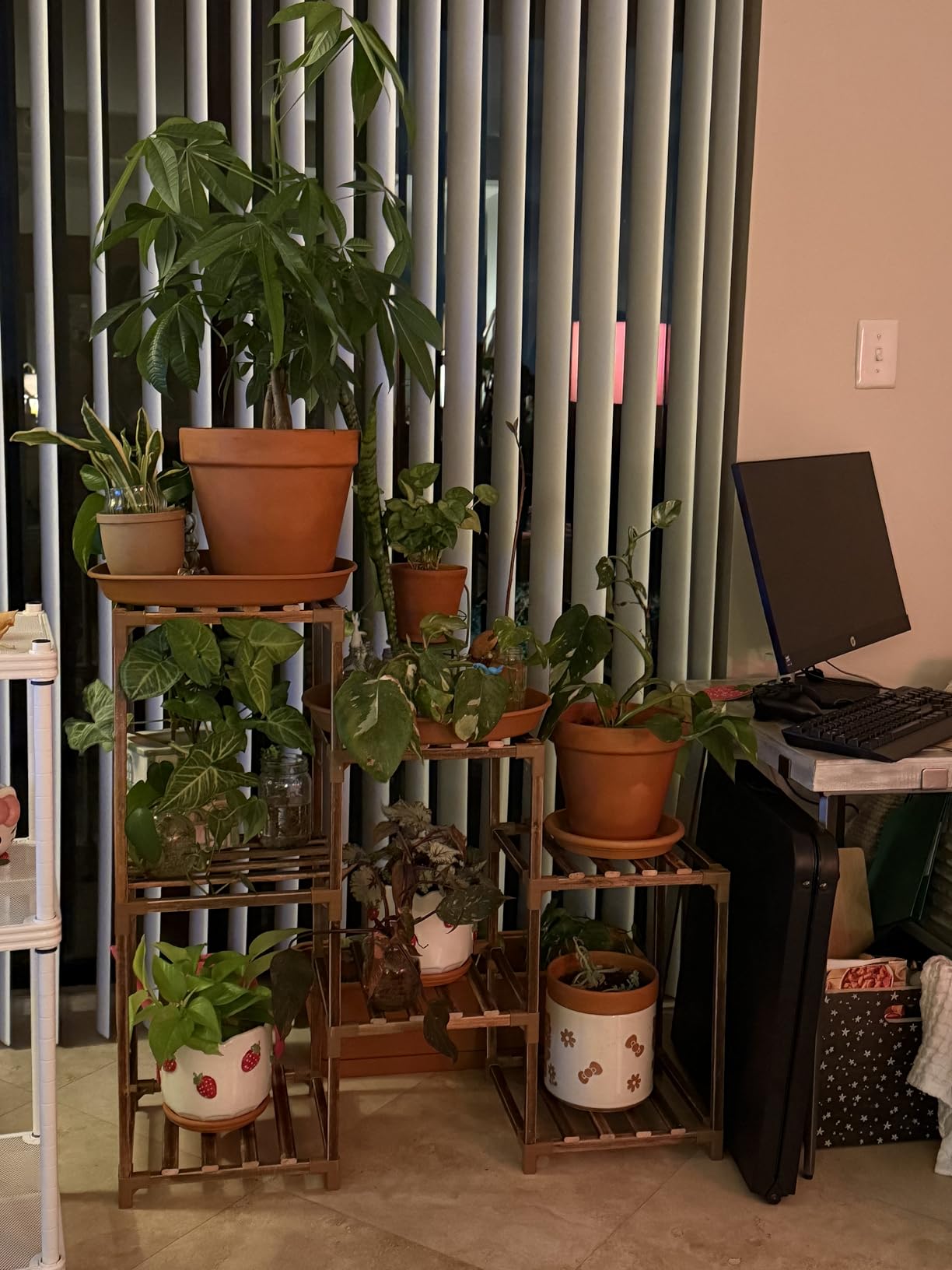 Bamworld Plant Stand Indoor Plant Shelf Outdoor Wood Plant Rack for Multiple Plants 3 Tiers Ladder Plant Holder customer photo 1