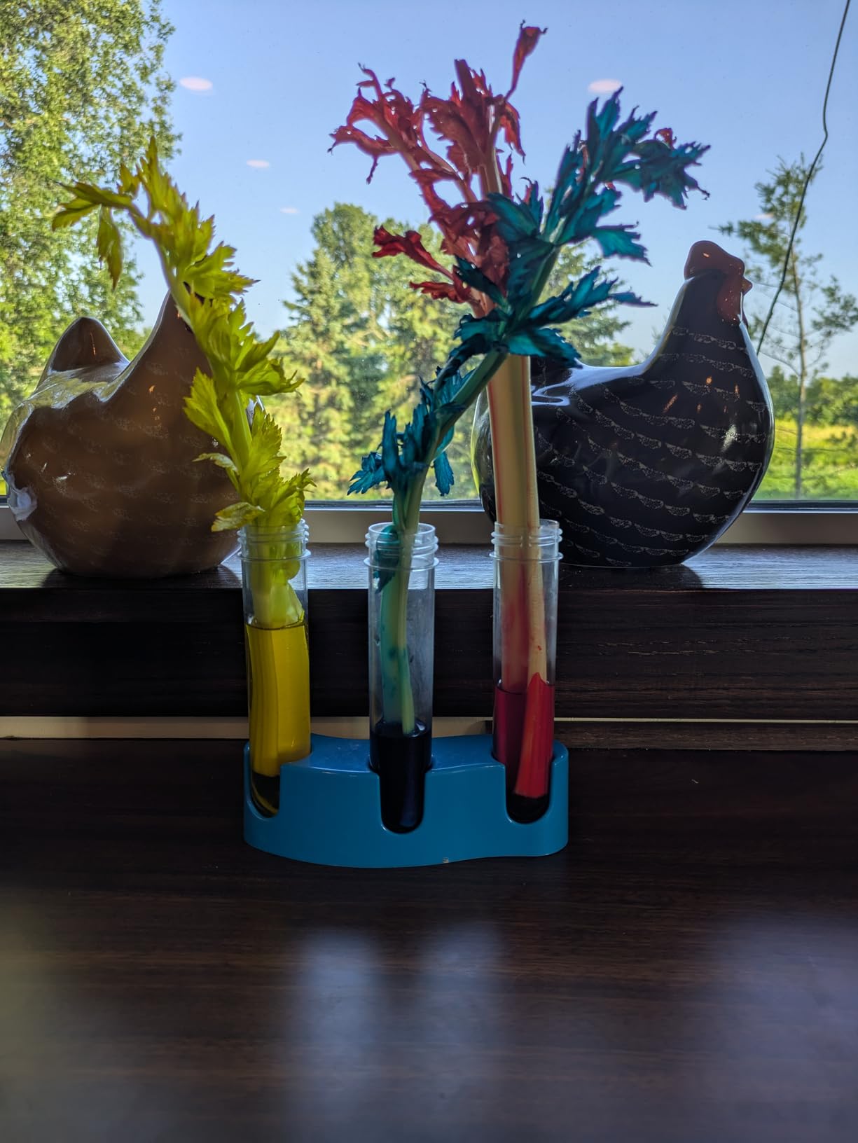 National Geographic Amazing Chemistry Set with 100+ Experiments customer photo 2