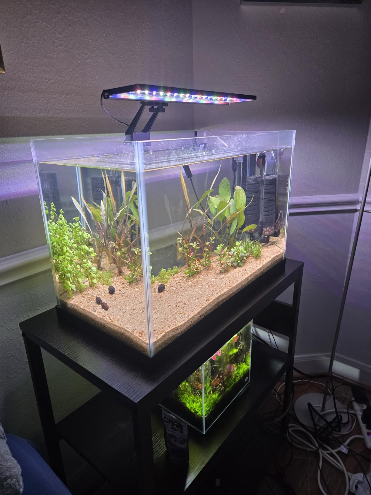 hygger Clip On 24/7 Lighting Aquarium LED Light,Sunrise-Daylight-Moonlight and DIY Mode, Adjustable Timer/Brightness Fish Tank Light with 7 Colors for Planted Tank (14W for 12~20in Tank) customer photo 1