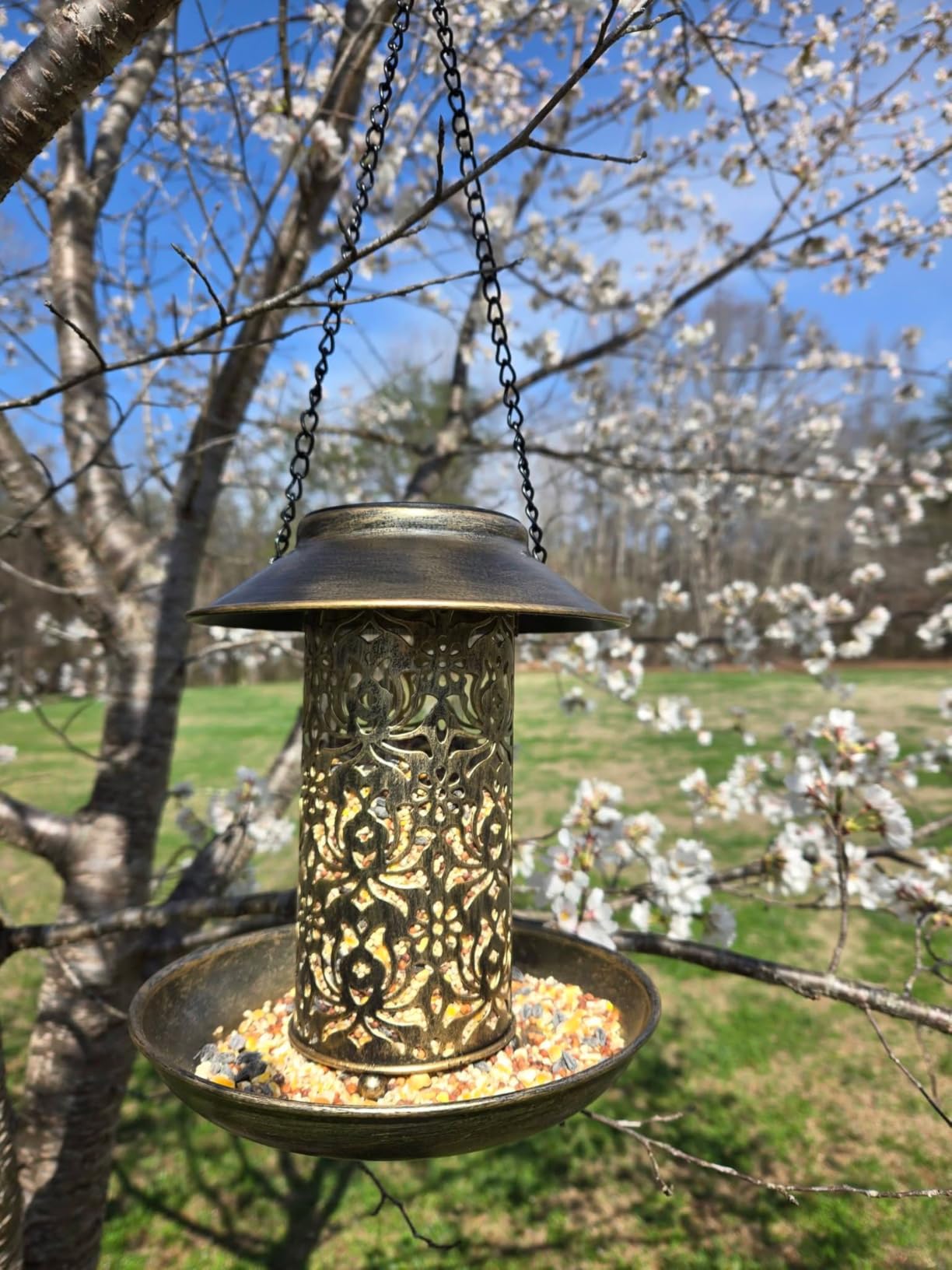 SWEETFULL Solar Bird Feeder for Outdoors Hanging, Metal Wild Bird Feeder for Cardinals Solar Garden Lantern with S Hook as Gift for Bird Lovers (2LBs Heavy Duty birdfeeders) customer photo 1