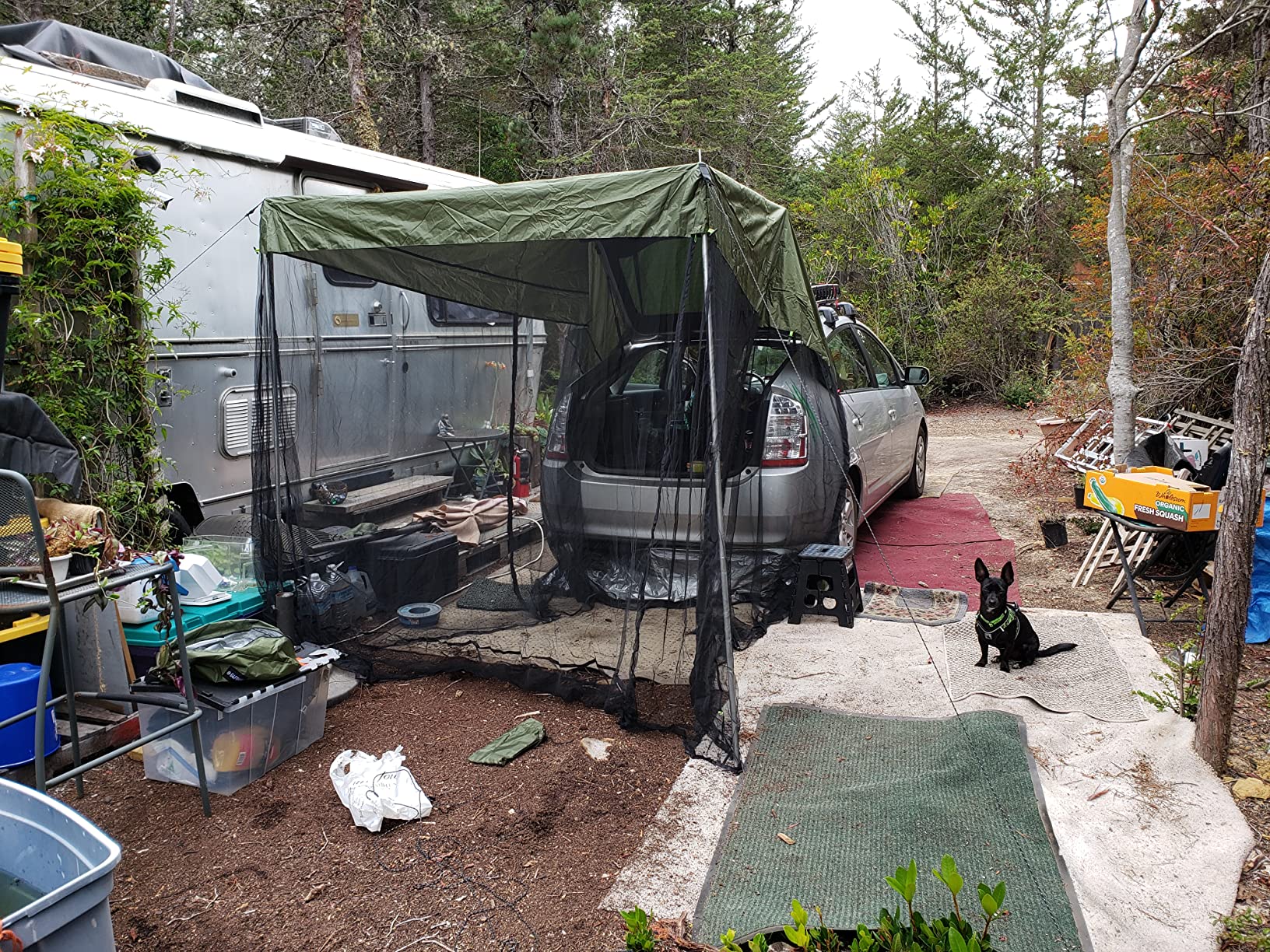 G4Free Car Awning Sun Shelter with Mosquito Net, Portable SUV Tent Tailgate Shade Car Canopy for Outdoor Camping Travel customer photo 1
