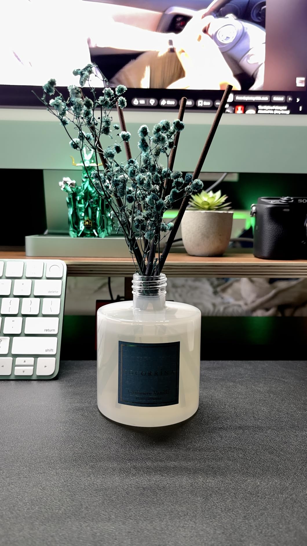 COCORRÍNA Reed Diffuser - Cashmere Vanilla 6.7 fl oz Reed Diffuser for Bedroom Bathroom Home Décor customer photo 1
