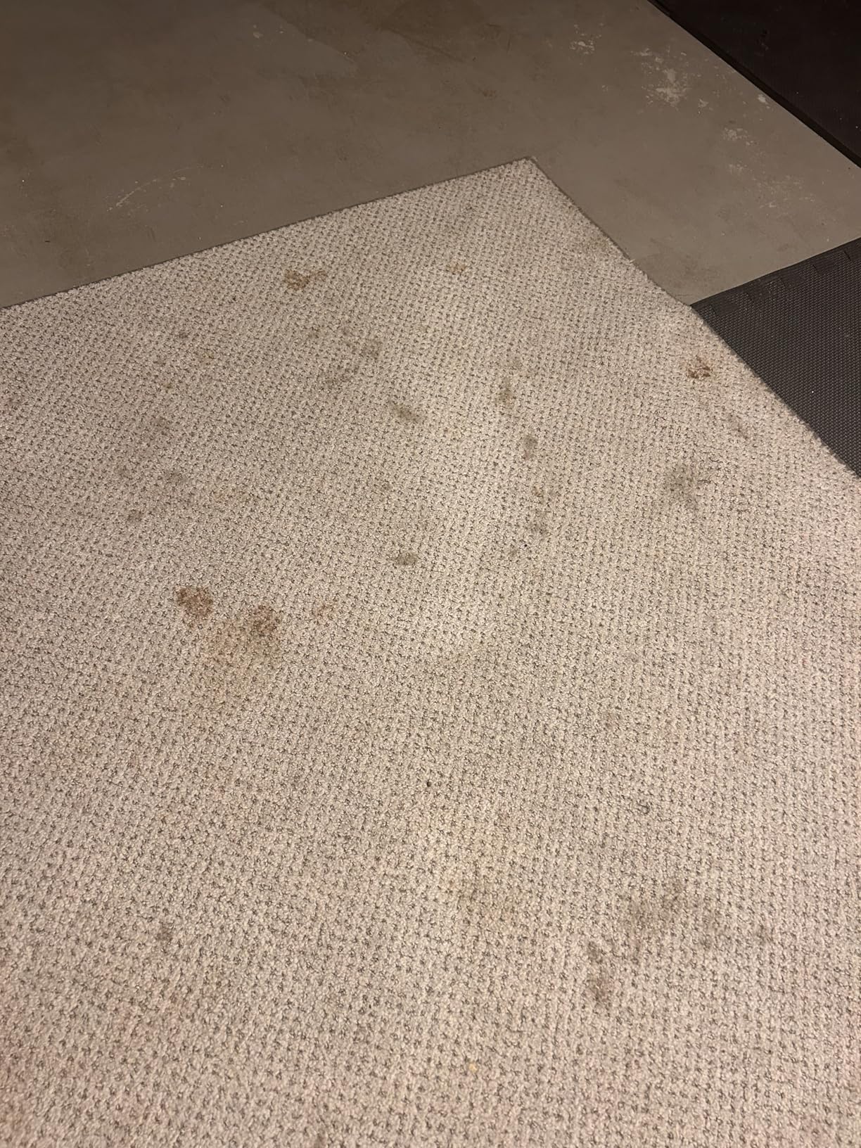 Hoover CleanSlate Plus Portable Carpet + Upholstery Spot Cleaner Machine, Powerful Suction with Versatile Tools, Pet Stain Remover, Car and Auto Detailer customer photo 1