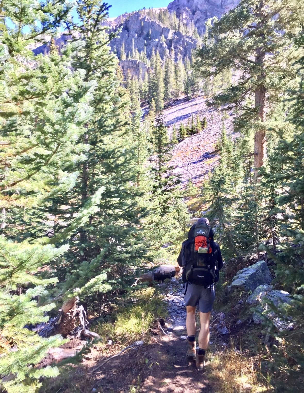 Teton 45L Scout Internal Frame Backpack for Hiking, Camping, Backpacking, Rain Cover Included, Bluejay customer photo 2