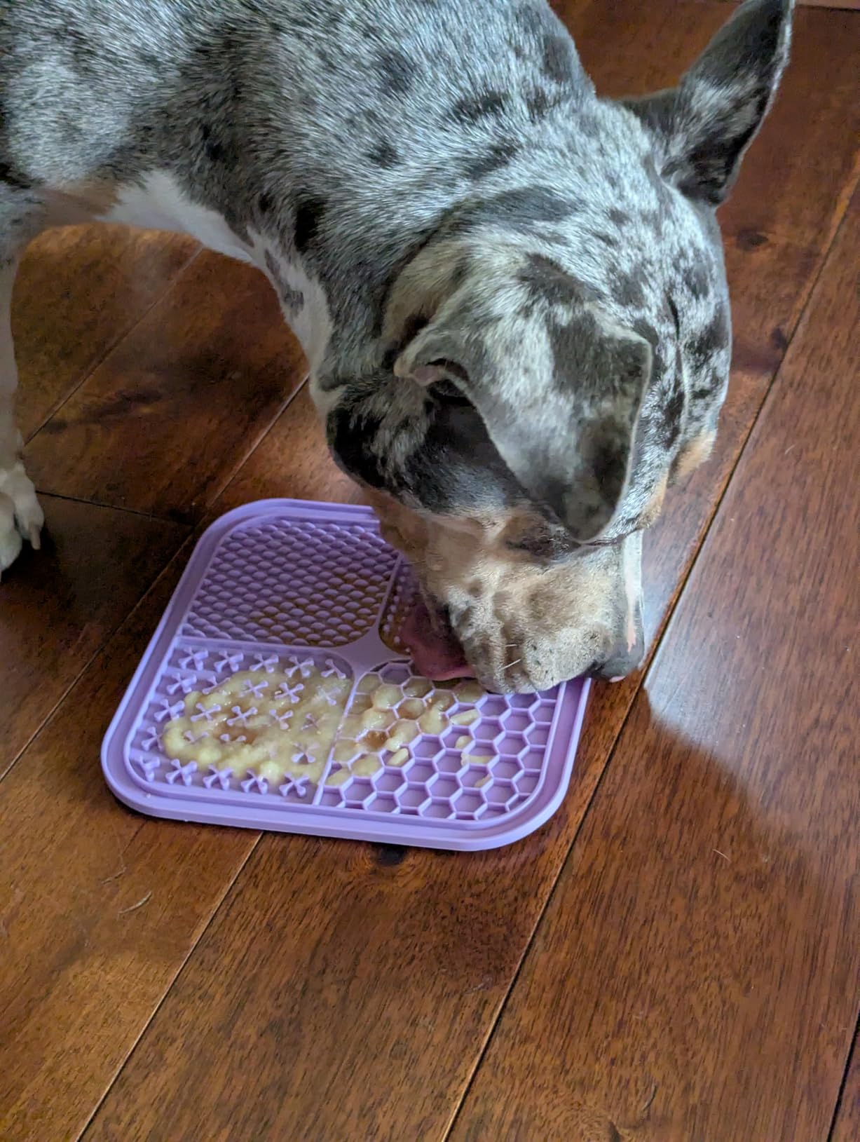 LUKITO Lick Mat for Dogs & Cats 2 Pack with Suction Cups, Dog Lick Mat for Anxiety Relief, Dog Toys to Keep Them Busy, Peanut Butter Licking Pad for Boredom Reducer, Perfect for Bathing Grooming customer photo 2