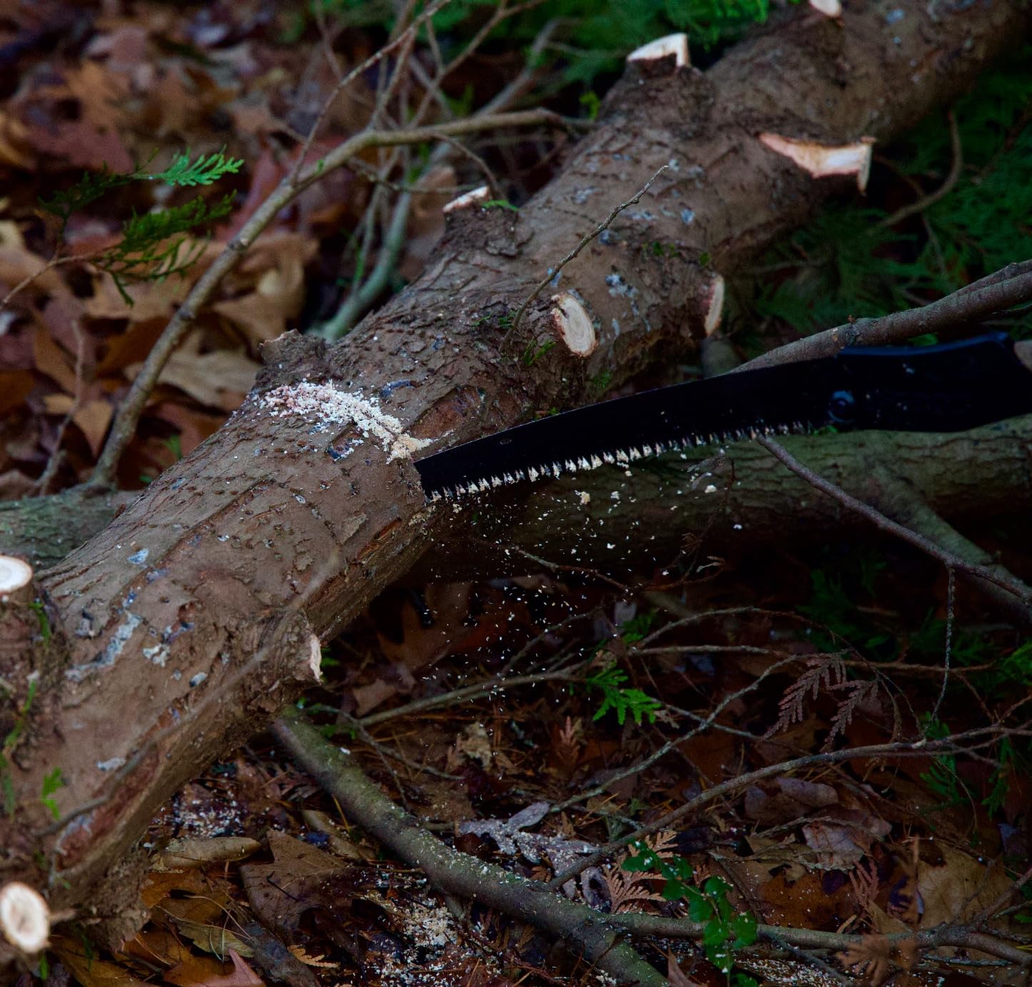 Silky Professional Bigboy 2000 Folding Saw 360mm XL Teeth Outback Edition (754-36) customer photo 1