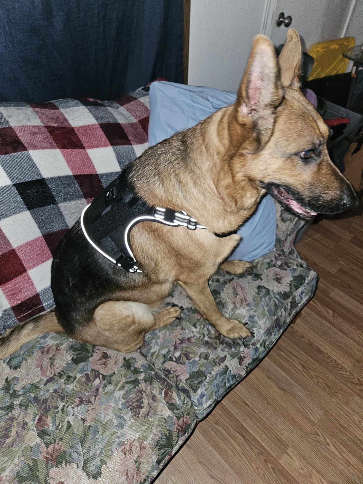 rabbitgoo Tactical Dog Harness for Large Dogs, No Pull Military Service Vest with Handle & Molle, Easy Control for Training Walking, Adjustable Reflective Straps, Black, L customer photo 2