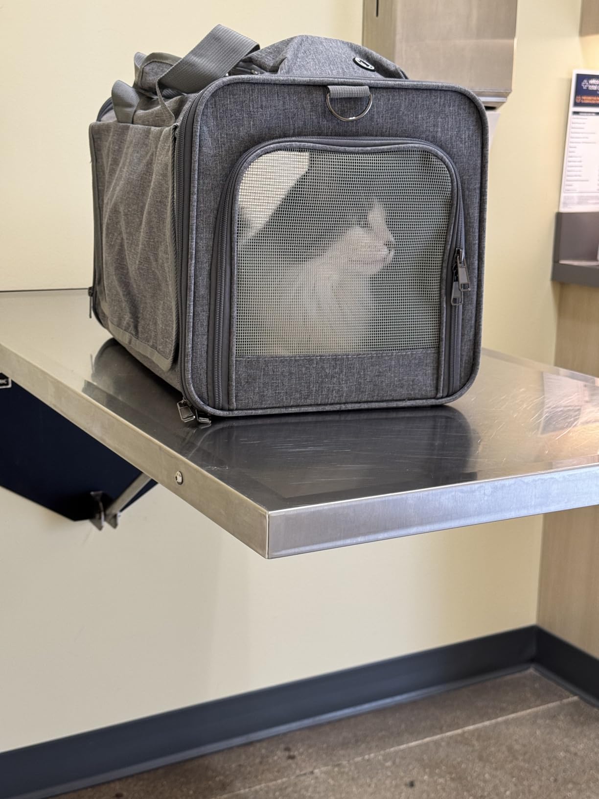 GAPZER Pet Carrier for Large Cats, Soft-Sided Cat Carrier for Medium Big Cats and Puppy up to 20lbs, Washable Dog Carrier Privacy Protection for Home Outdoor Travel customer photo 1