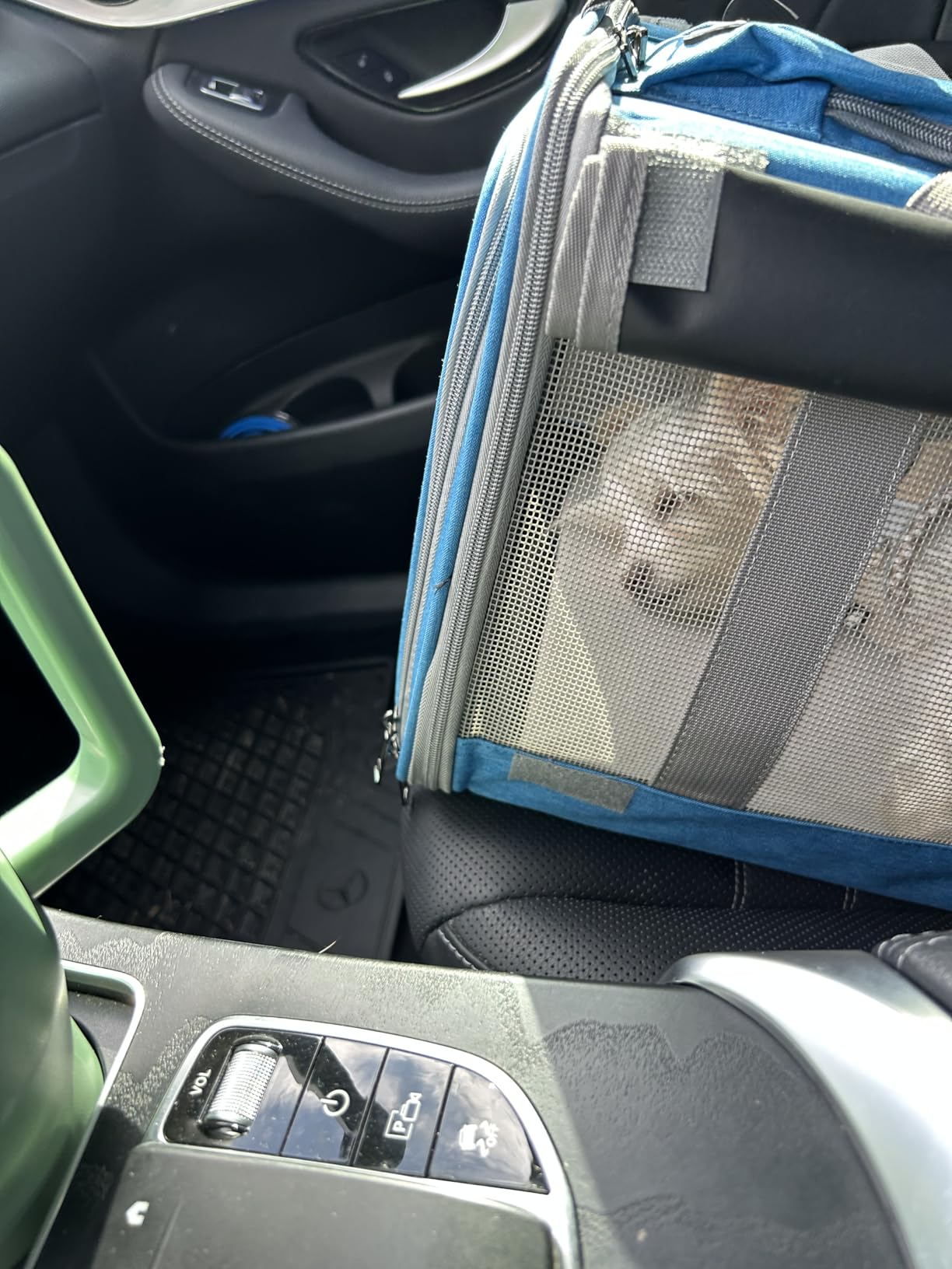 GAPZER Pet Carrier for Large Cats, Soft-Sided Cat Carrier for Medium Big Cats and Puppy up to 20lbs, Washable Dog Carrier Privacy Protection for Home Outdoor Travel customer photo 2