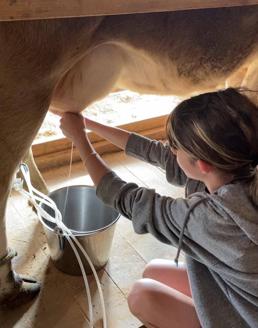 Goat Milking Machine 12L, Plug-in Powered, Speed Adjustable Pulsating Vacuum Pump, Food Grade 304 Stainless Steel Milk Bucket, Auto-Stop Check Valve, Electric Goat Sheep Milker (Classic Model) customer photo 1