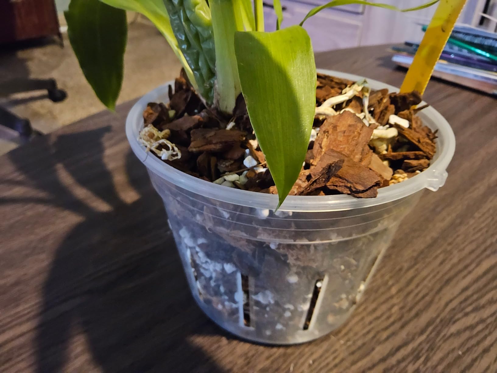 REMIAWY Orchid Pot, 9 Pack Orchid Pots with Holes, 3 Each of 4.8, 5.7 and 6.4 Inch Clear Flower Planter for Repotting, Plastic Slotted Nursery Planters Indoor Outdoor customer photo 2