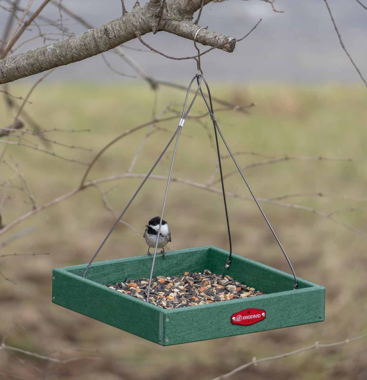 Kingsyard WPC Composite Platform Bird Feeder for Outside, Heavy Duty Hanging Tray for Mealworms & Seeds, 3.5 lbs Large Capacity, Weatherproof Recycled Plastic Material, Easy to Clean, Green customer photo 2