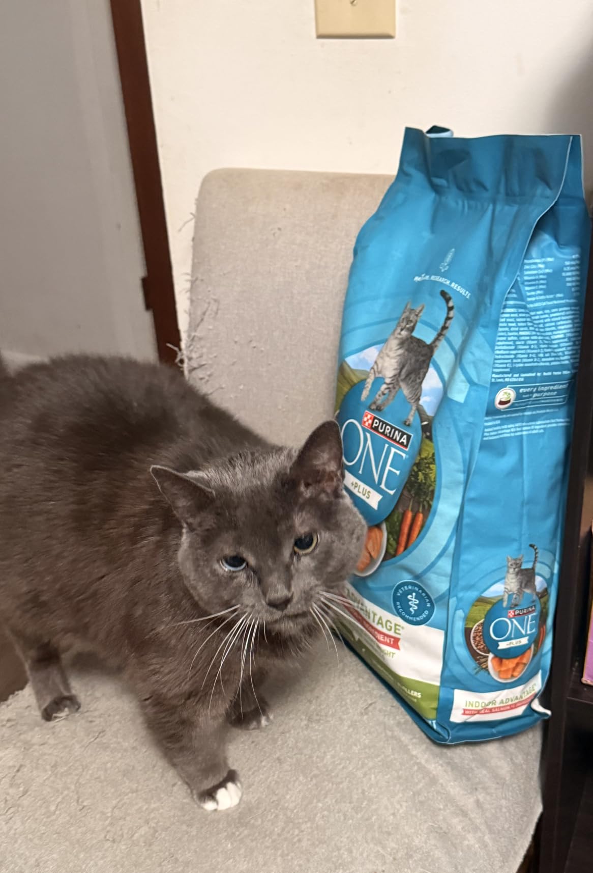 Purina ONE Natural Low Fat, Indoor Dry Weight Control High Protein Cat Food Plus Indoor Advantage With Real Salmon - 7 lb. Bag customer photo 2