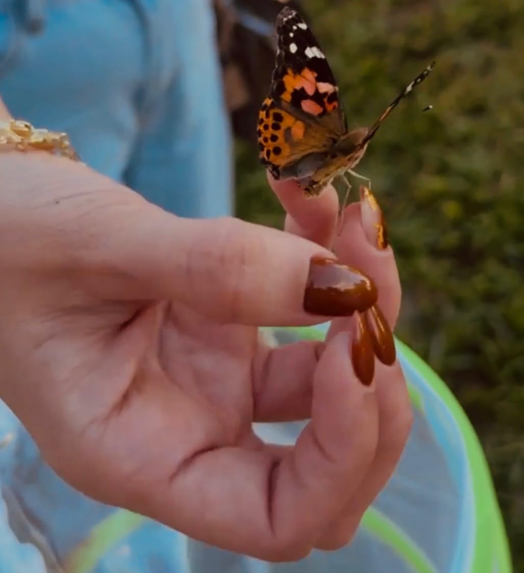 Nature Bound Butterfly Growing Kit - Live Caterpillar to Butterfly Project for Kids - Includes Voucher for Caterpillars, Green Pop-Up Enclosure, and STEM Learning Guide customer photo 2