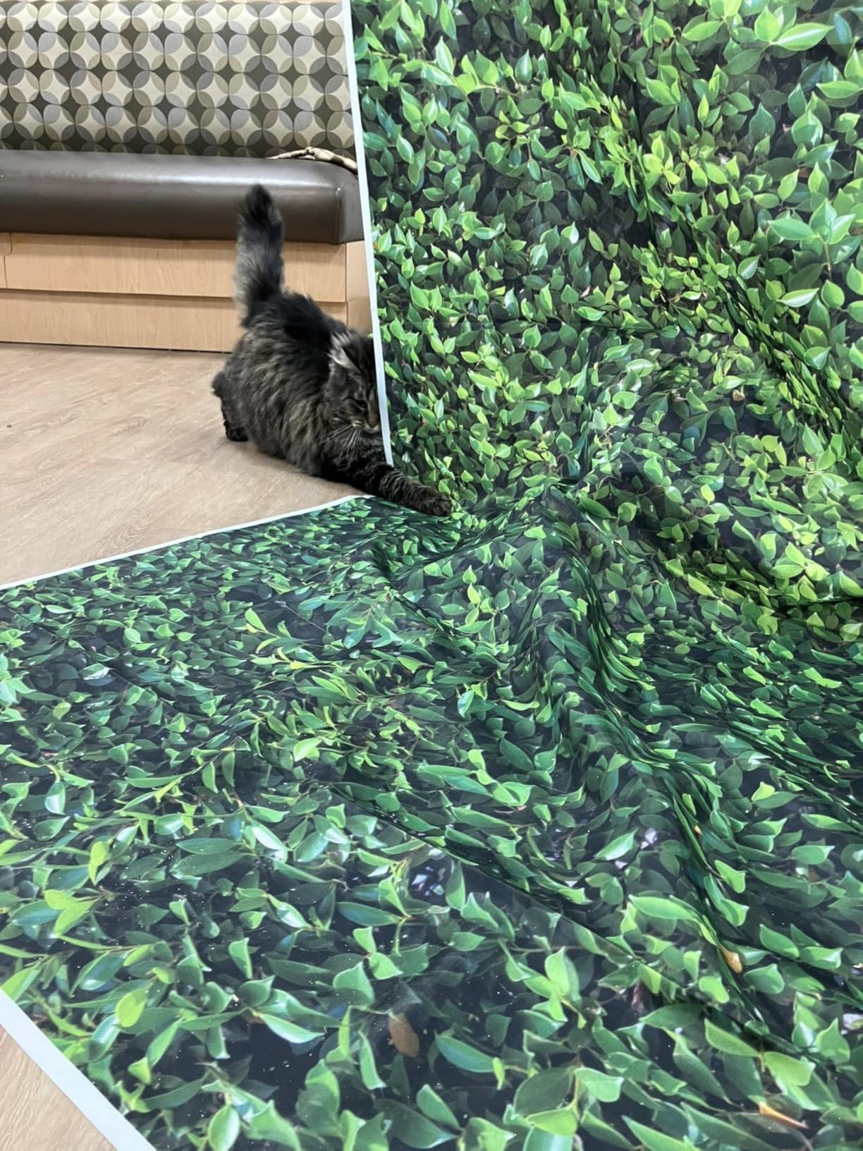 Nature Spring 3D Green Leaves Theme Photo Background Wedding Birthday Party Newborn Baby Shower Photography Backdrops Zoo Decor Shoot Props Bannner (7x5 FT) customer photo 1