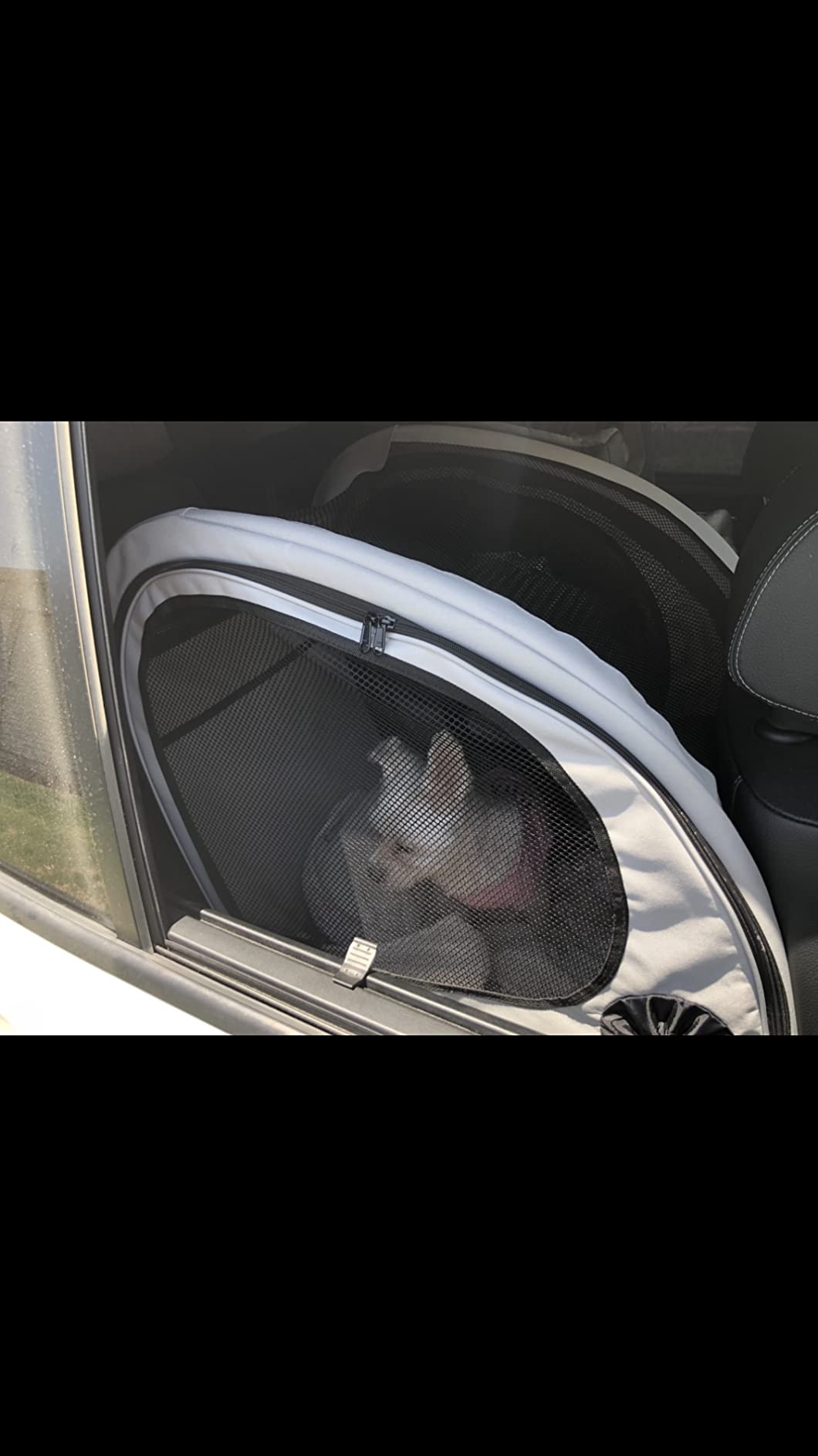 PetSafe Happy Ride Collapsible Travel Crate - Safe Travel Containment with Heavy Duty Aluminum Frame, Mesh Windows, Convenient Storage Pockets & Secure Seat Belt Access - Road Trip Crate customer photo 2