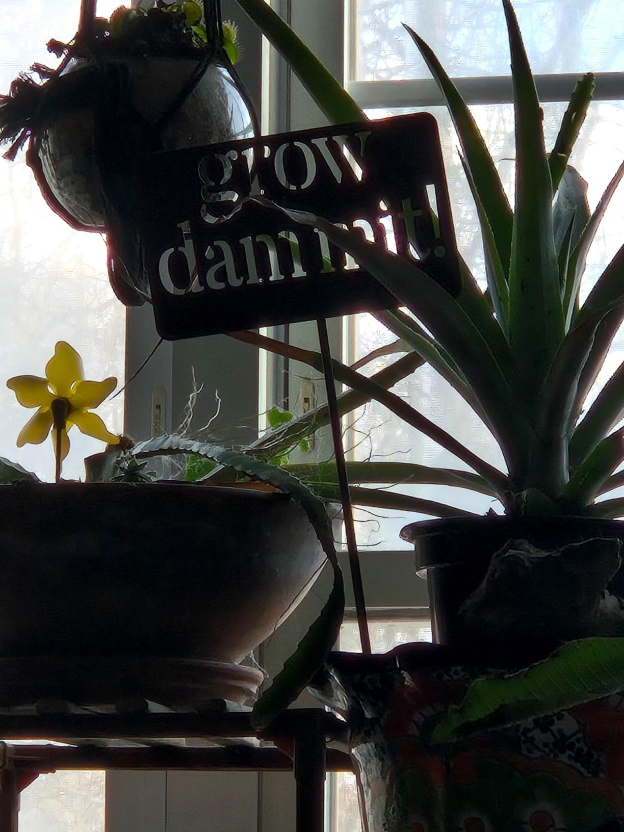 Island Genius Grow Dammit Funny Garden Sign, Unique Outside Gardening Decor Outdoor, Flower Vegetable Garden Accessories customer photo 1