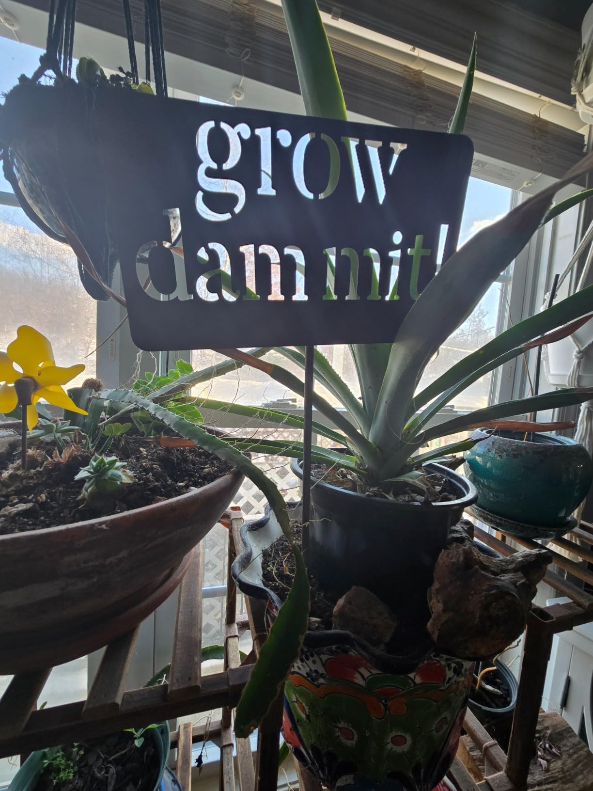 Island Genius Grow Dammit Funny Garden Sign, Unique Outside Gardening Decor Outdoor, Flower Vegetable Garden Accessories customer photo 2