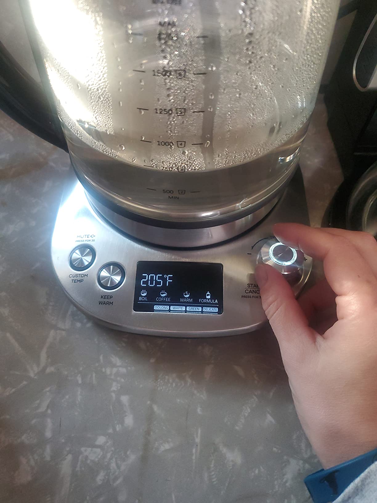 Mecity Electric Tea Kettle with Removable Infuser, 9 Preset Brewing Programs, Temperature Control, 2 Hours Keep Warm, Borosilicate Glass, 1.7 Liter, 1200W customer photo 2