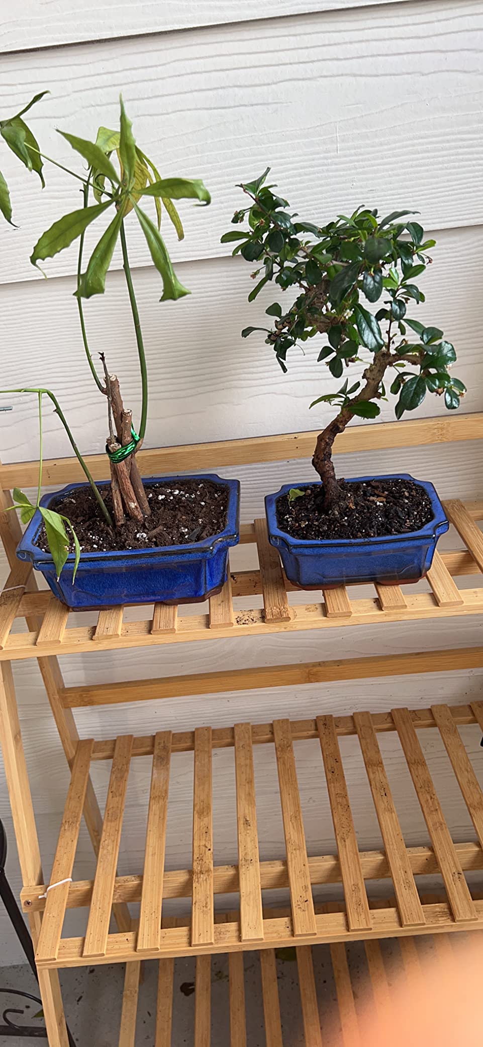 MUZHI 3 Pack Ceramic Rectangular Bonsai Tree Planter Pot Set 6in/7in/9in, Blue Glazed with Mesh Hole Screens customer photo 2