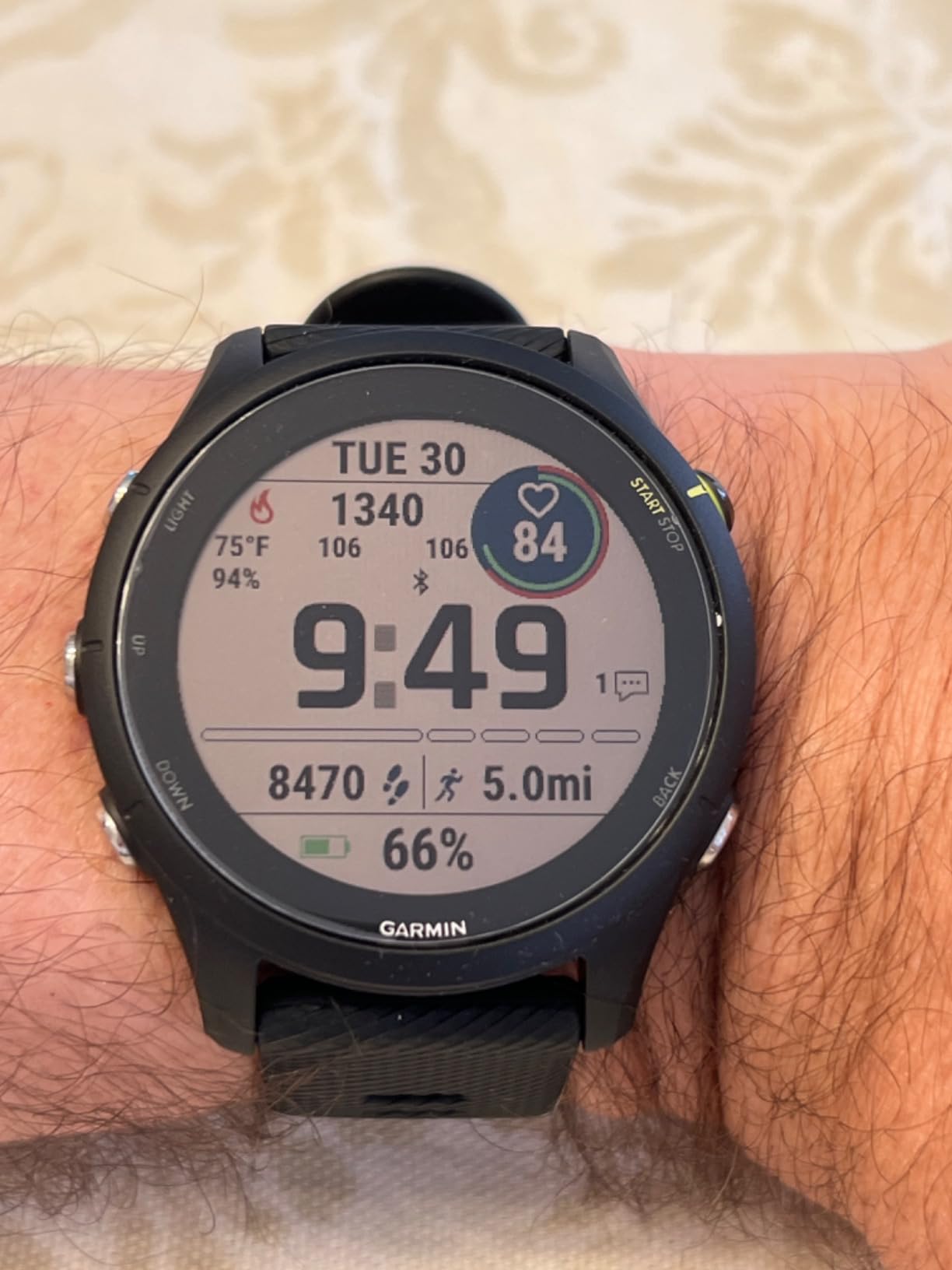Garmin Forerunner 255 GPS Running Smartwatch with Advanced Insights customer photo 2