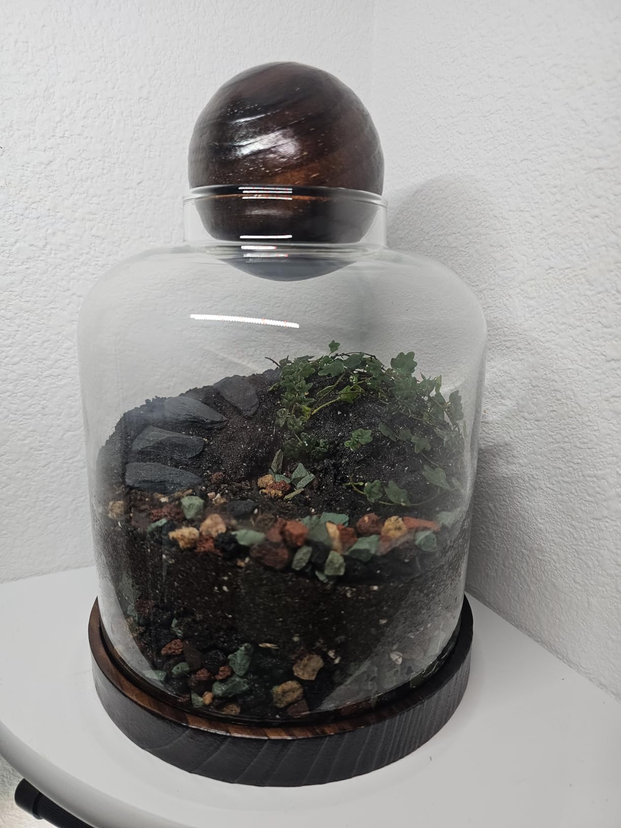 Yangbaga Large Glass Terrarium Succulent Plant Terrarium House for Plant/Moss Ball/Glass Fish Tank Mini Table with Wood Base & Ball lid Office Home Decoration customer photo 1