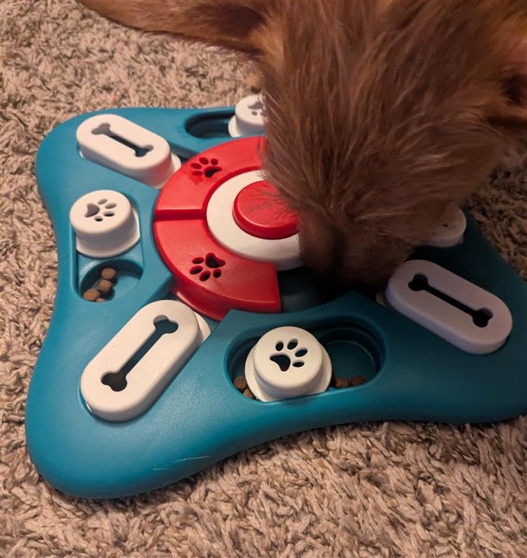 PETSTA Dog Puzzle Toys, Treat Dispensing Dog Enrichment Toys for IQ Training and Brain Stimulation customer photo 1