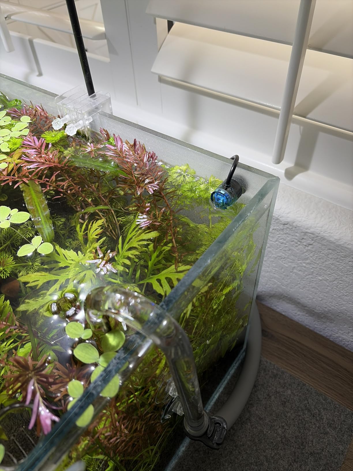Fzone Aquarium ATO Auto Top Off Refilling System with Dual Optical Sensor customer photo 1