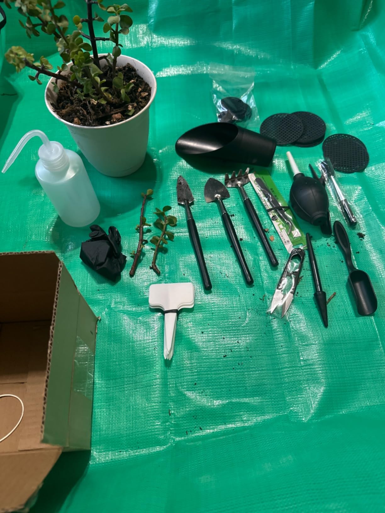 Melphoe 25Pcs Mini Garden Hand Transplanting Succulent Tools Set, 39.4