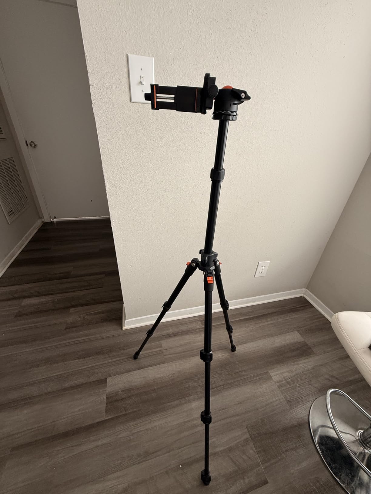 K&F CONCEPT 64 inch/163 cm Camera Tripod,Lightweight Travel Outdoor DSLR Tripods with 360 Degree Ball Head Load Capacity 17.6 lbs/8 kg,Cellphone Clip for Smartphone Live Streaming Vlog O234A1+BH-36 customer photo 2
