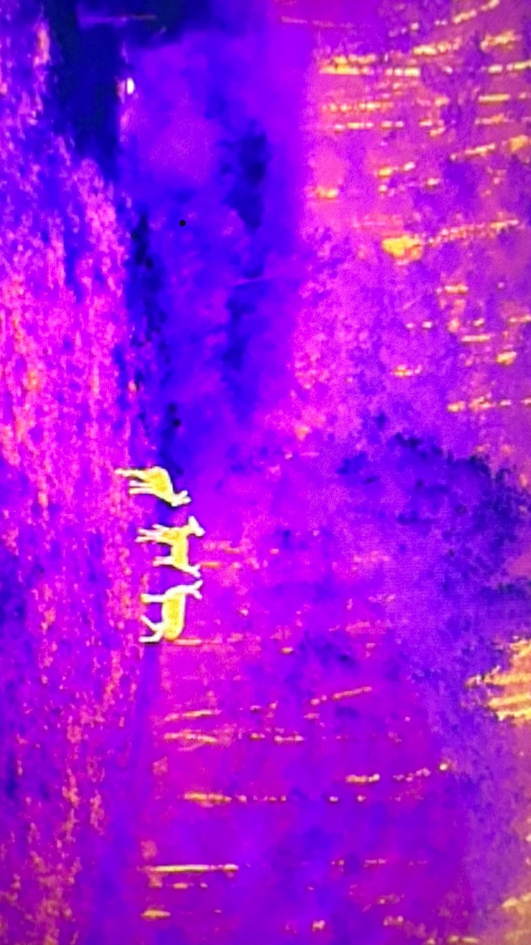 Autel Robotics EVO II Dual 640T V3, 640x512 Thermal Imaging Drone, Remote ID Supported, 0.8'' CMOS&50MP 8K RYYB Sensor, 10+ Temp Measurement, D-RI Ranges, Thermal Analysis Tool customer photo 2