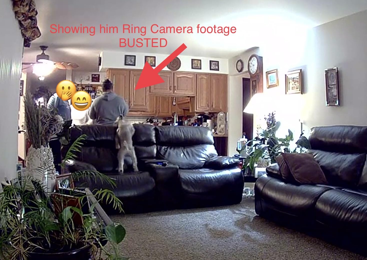Ring Indoor Cam, Home or business security in 1080p HD video, Black customer photo 1