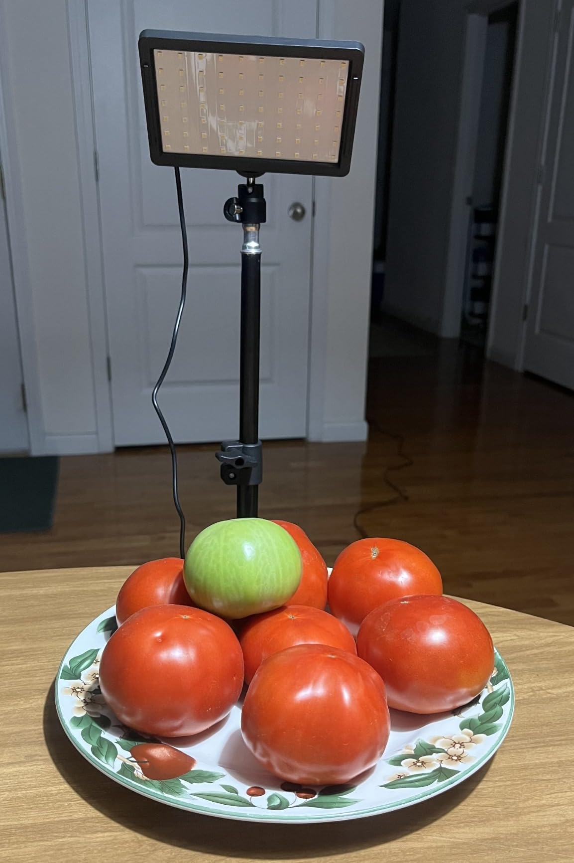 Photography Lighting Kit Dimmable 5600K USB Led Video Studio Streaming Lights with Adjustable Tripod Stand and Color Filters for Table Top/Photo Video Shooting customer photo 1