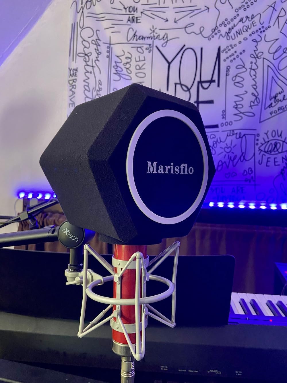 Professional Microphone Isolation Ball with 2-Layered Pop Filter, High Density Foam Great Noise Cancellation customer photo 2